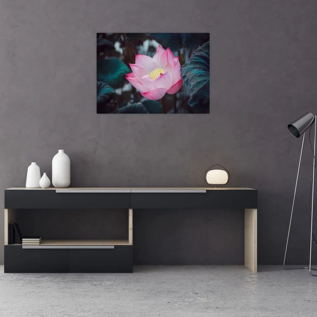 Tablou cu floare roz (70x50 cm)