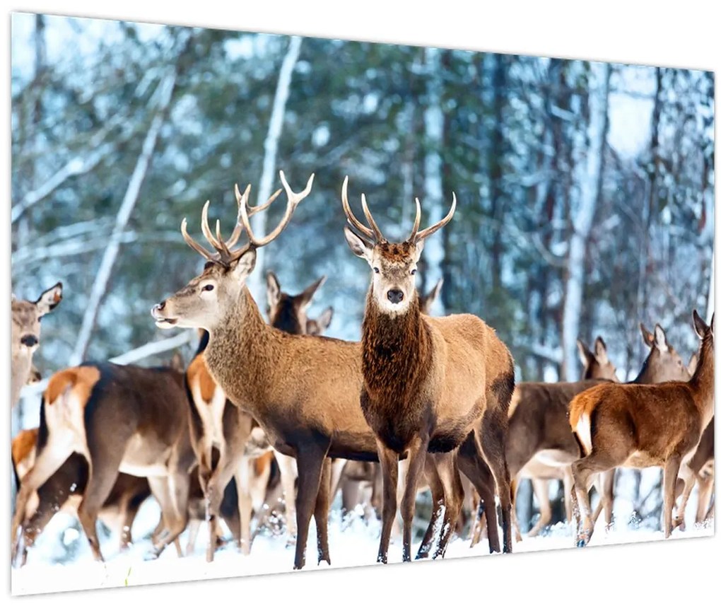 Tablou - Turma de căprioare (90x60 cm)