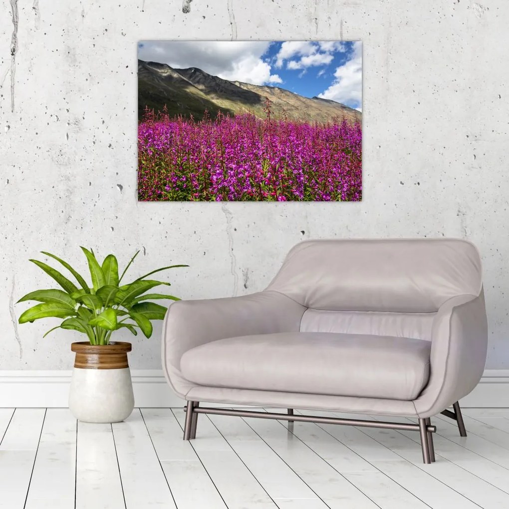 Tablou sceneriei cu lunca montană (70x50 cm)