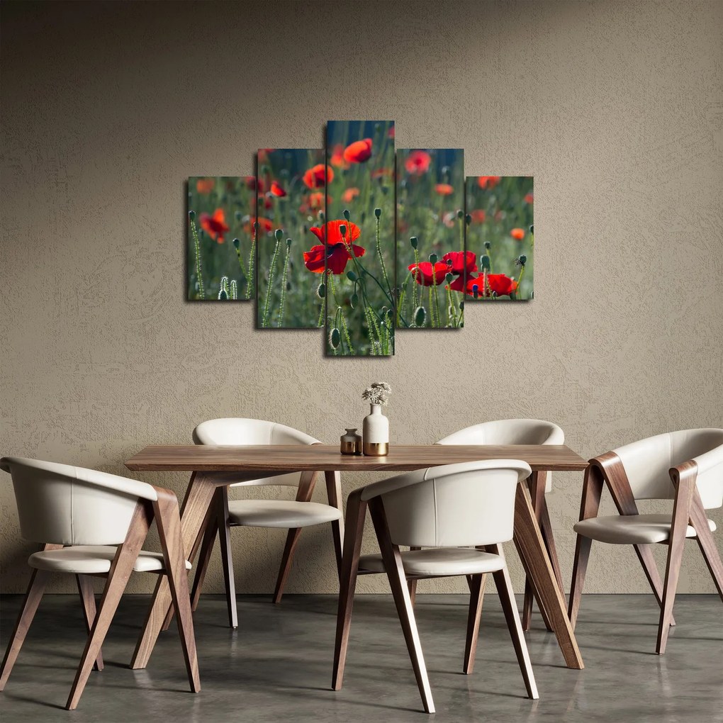 Tablou - Lunca cu maci (150x105 cm)