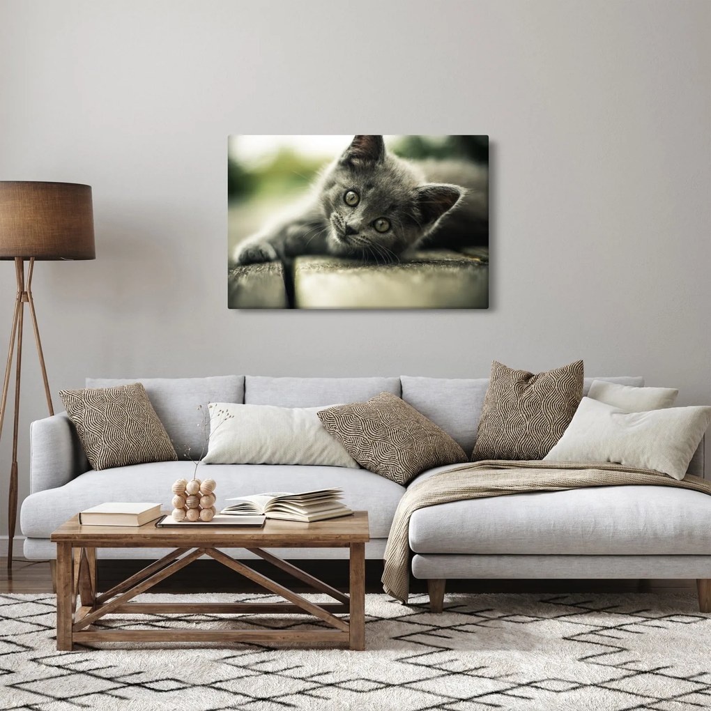 Tablou cu pisicuța (90x60 cm)