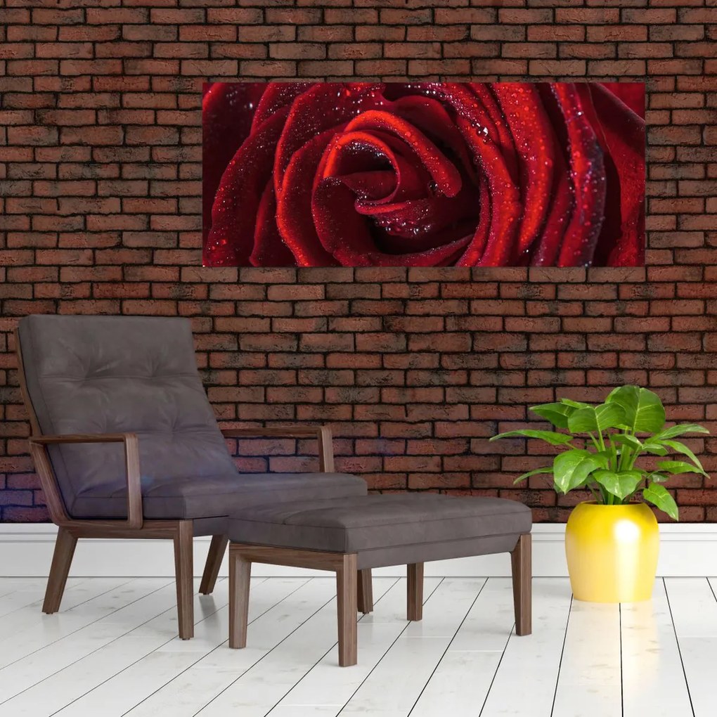 Tablou - Trandafir roșu cu picături de rouă (120x50 cm)