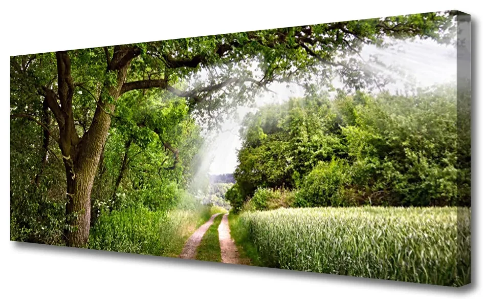 Tablou pe panza canvas Copaci Potecă Natura Brun Verde