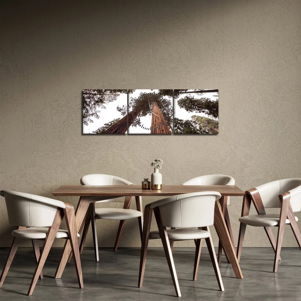 Tablou - Privire prin vârfurile copacilor (cu ceas) (90x30 cm)