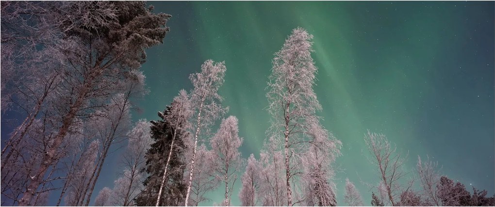 Tablou cu aurora borealis deasupra pomilor înghețați (120x50 cm)