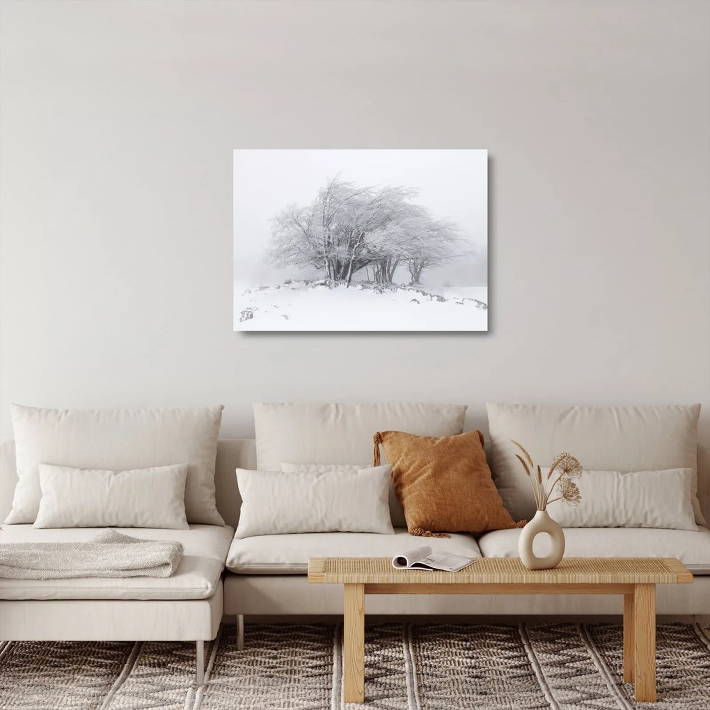 Tablou pe sticlă - Iarnă albă (70x50 cm)