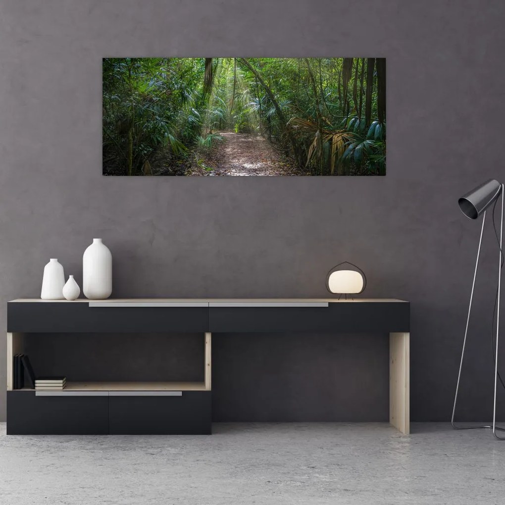 Tablou - Razele solare în junglă (120x50 cm)