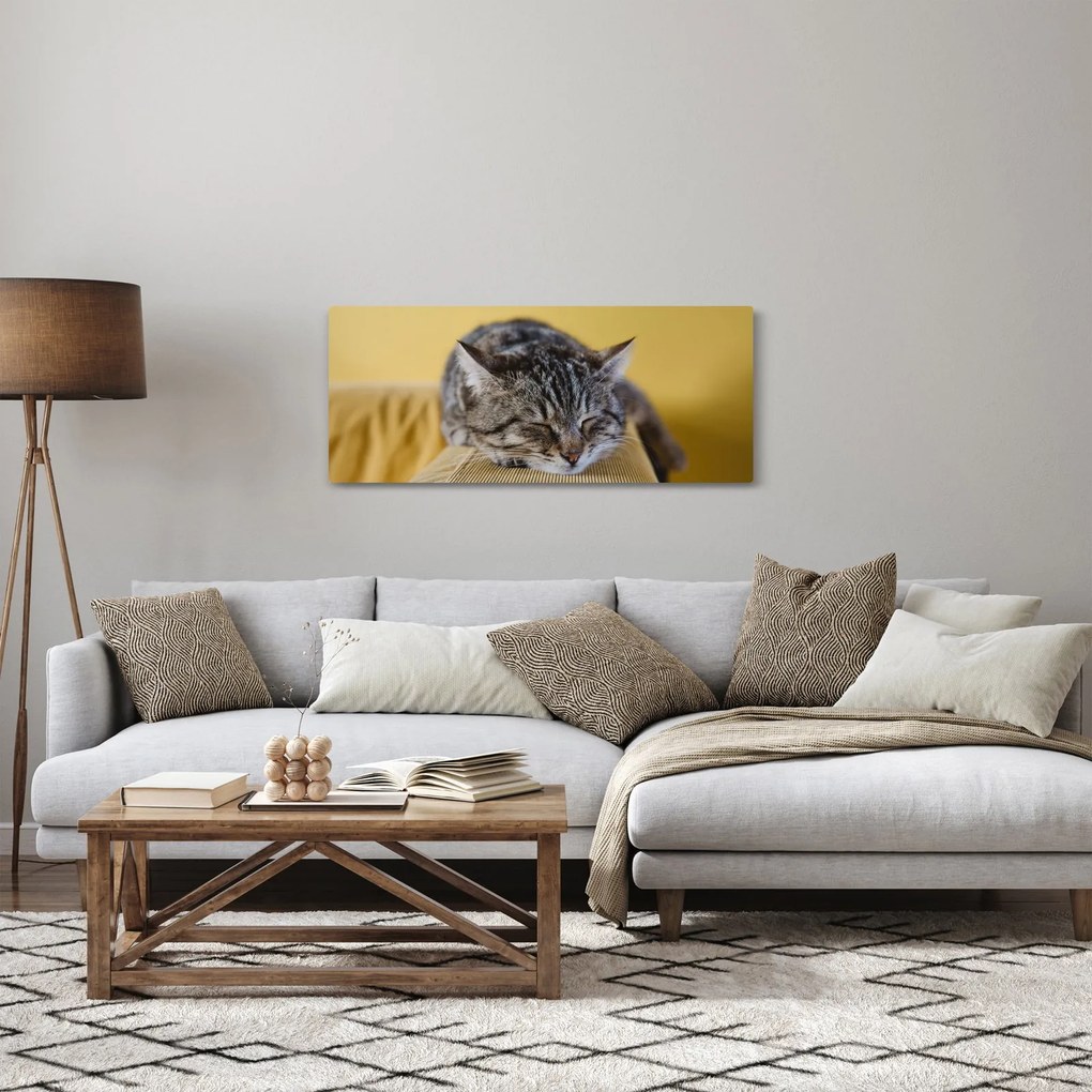 Tablou cu pisica pe fotoliu (120x50 cm)
