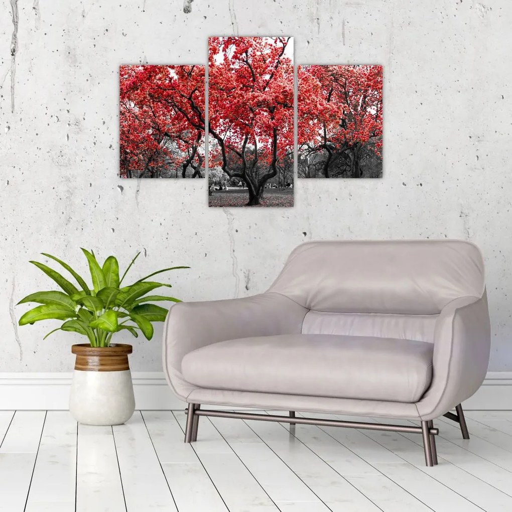 Tablou - Copacii roșii, Central Park, New York (90x60 cm)