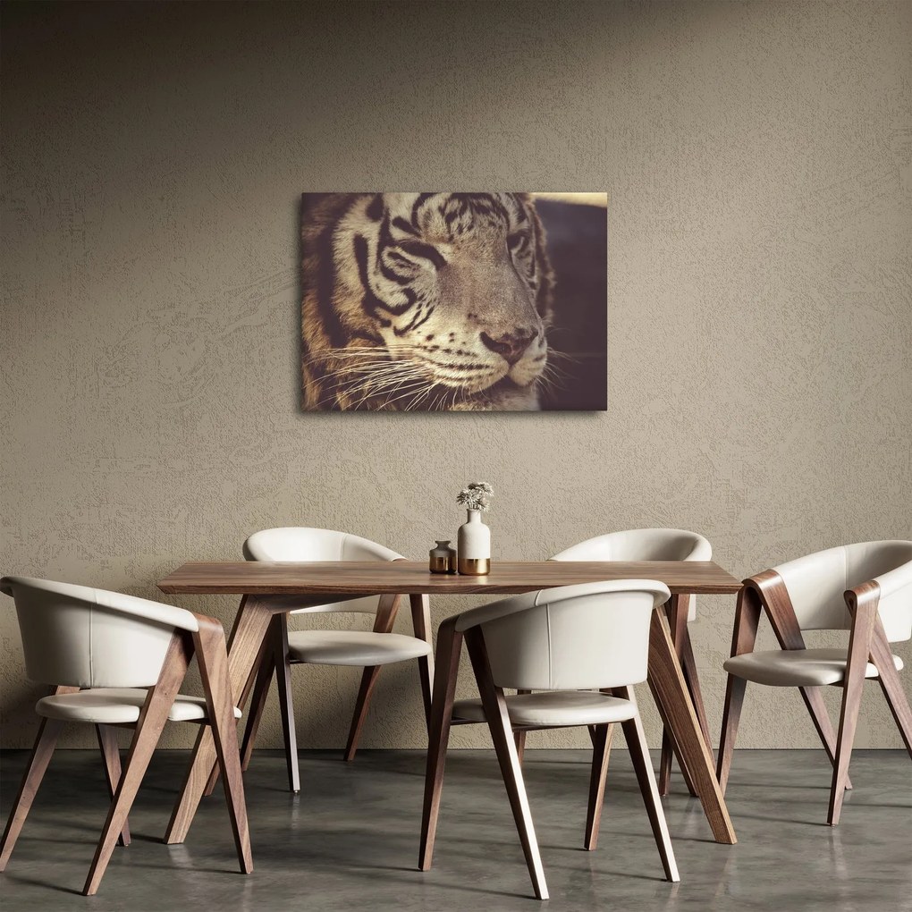 Tablou cu tigrul (70x50 cm)