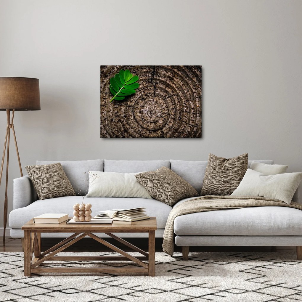Tablou cu frunză pe trunchi de copac (70x50 cm)