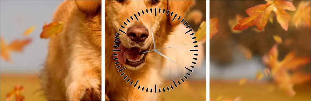 Tablou - Golden Retriever (cu ceas) (90x30 cm)