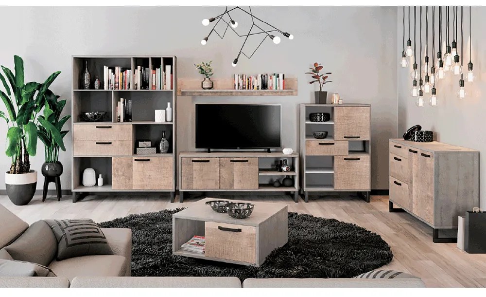 Zondo Comodă Bareni 2D3S (Stejar nisipiu + gri). 1034124