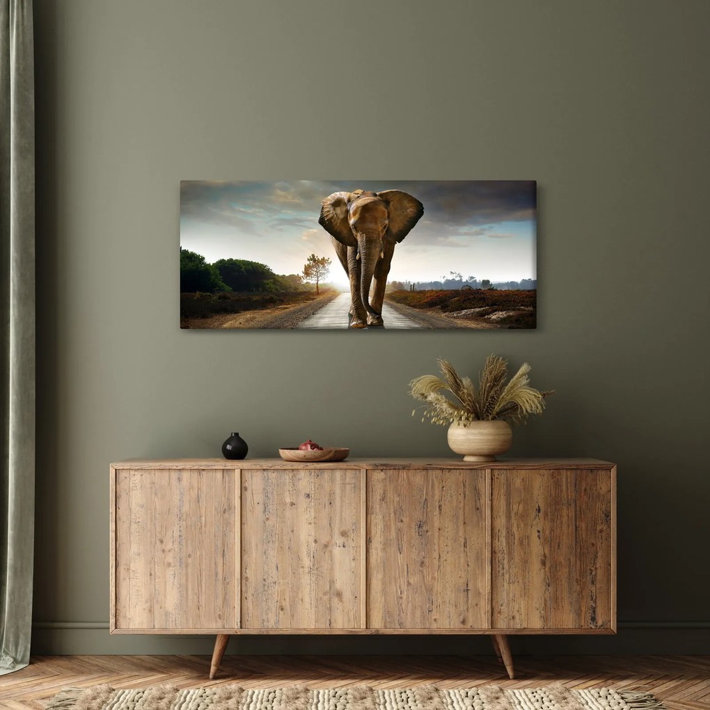 Tablou cu elefant (120x50 cm)