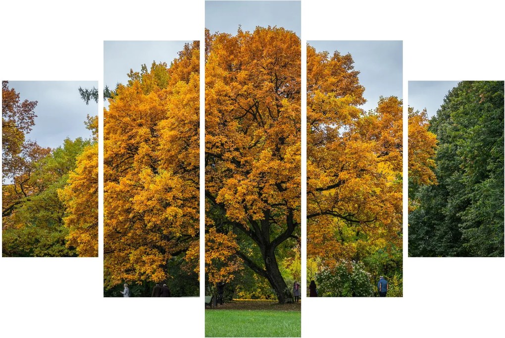 Tablou cu copac (150x105 cm)