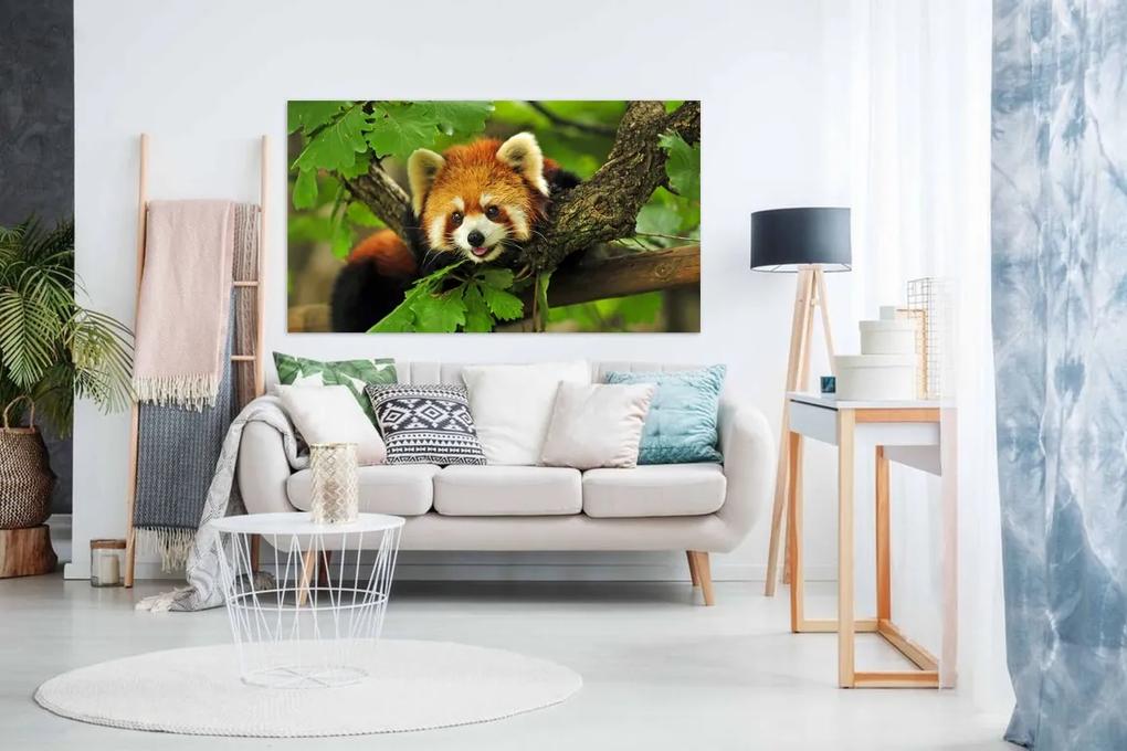 Tablou canvas urs panda rosu - 100x60cm