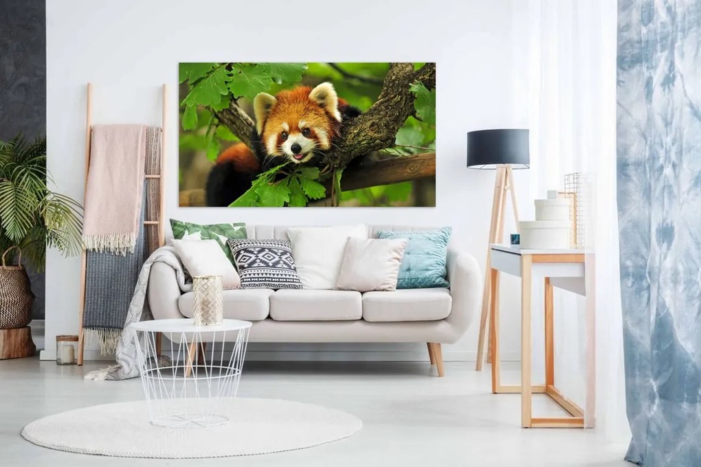 Tablou canvas urs panda rosu - 90x60cm