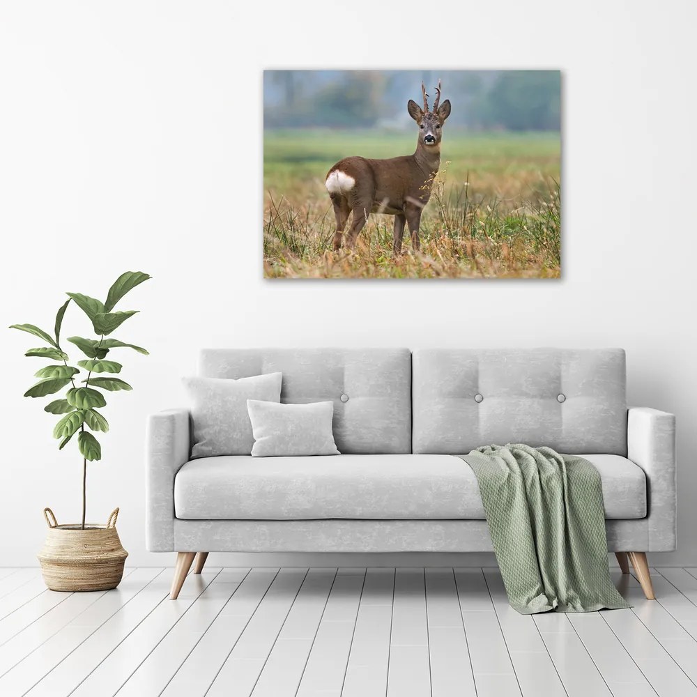 Imprimare tablou canvas Icre