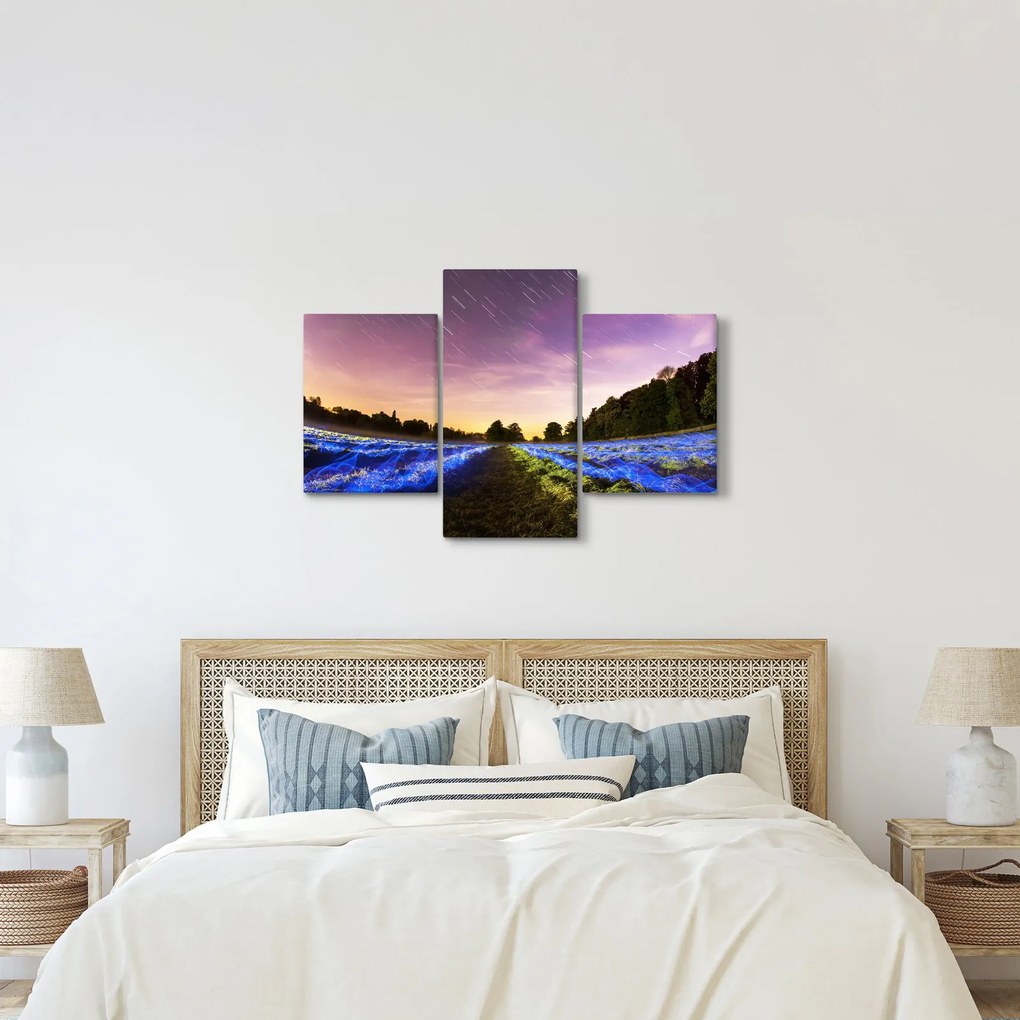 Tablou cu câmp colorat (90x60 cm)