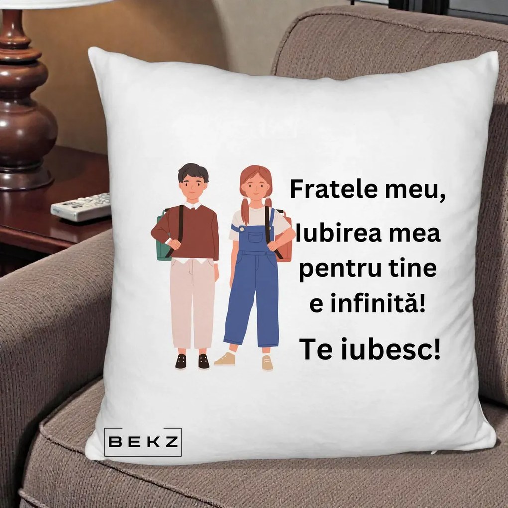 Cadou pentru Frate - Perna Personalizata Fratele Meu Te Iubesc Elevi Ilustratie Colorata, 40x40 cm, Alb Pufos, Husa Detasabila, Perna Inclusa, BEKZ®