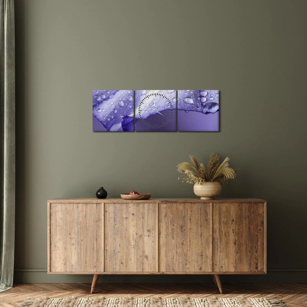 Tablou - Petală cu picături (cu ceas) (90x30 cm)