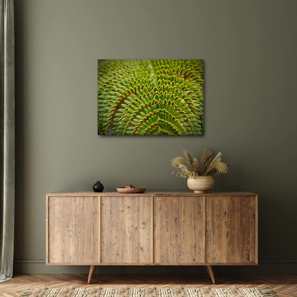 Tablou - Fern (70x50 cm)