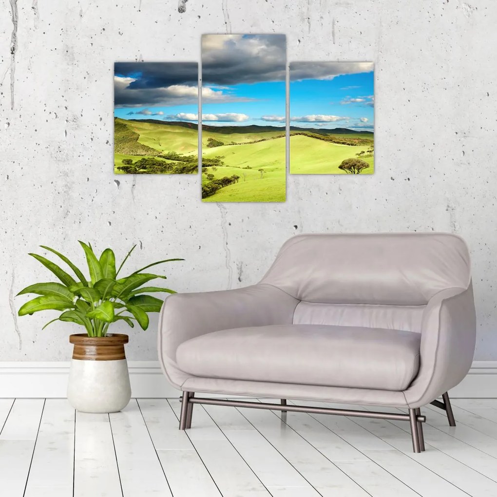 Tablou - Peisaj verde cu dealuri (90x60 cm)