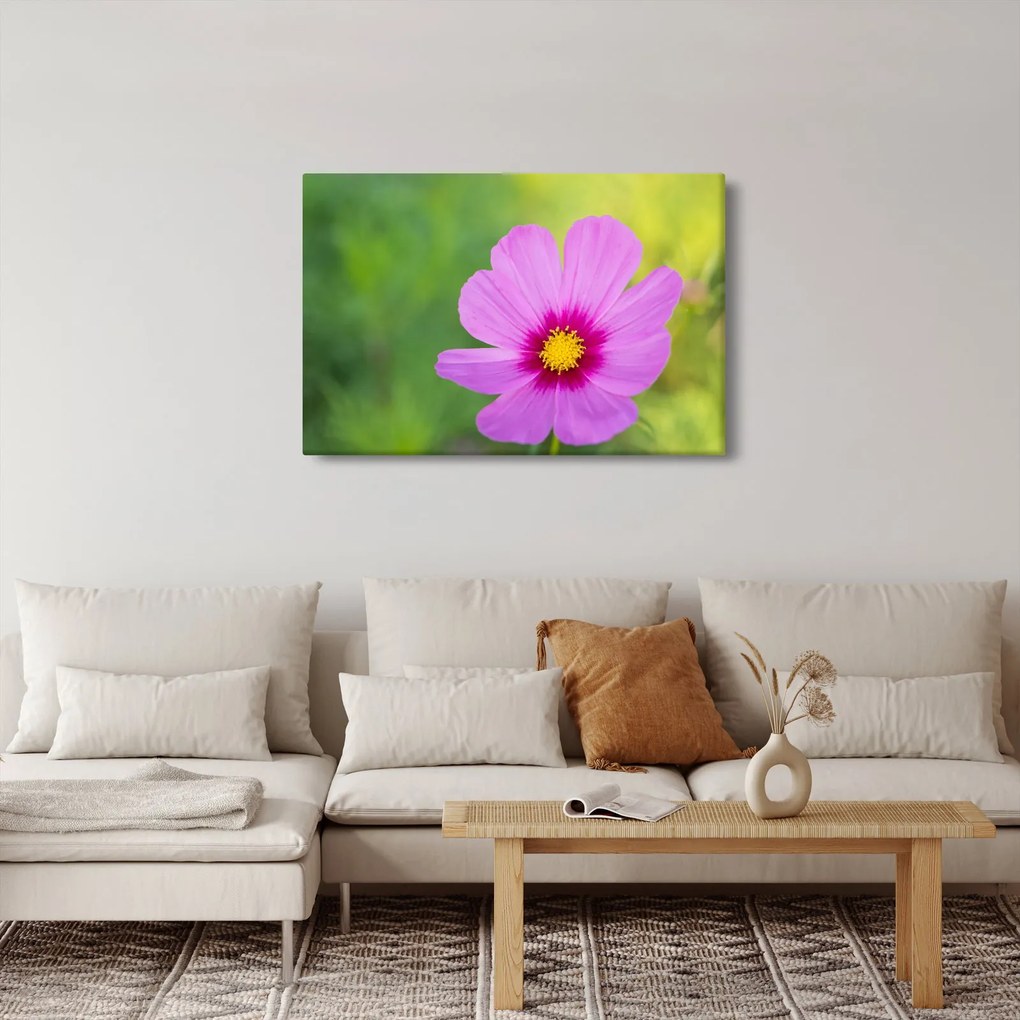 Tablou - floare de câmp (90x60 cm)