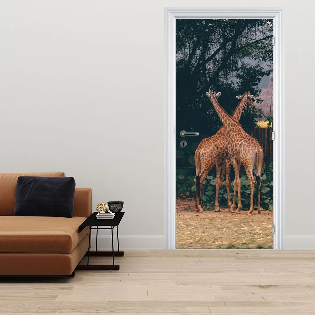 Fototapet pentru ușă - Două girafe (95x205cm)