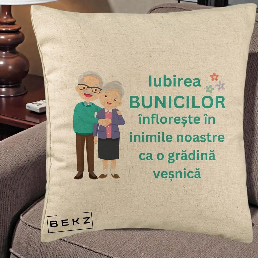 Cadou pentru Bunici - Perna Personalizata Bunicii Iubirea Infloreste Cuplu Senior Teal, 40x40 cm, Bej, Husa Detasabila, Perna Inclusa, BEKZ®