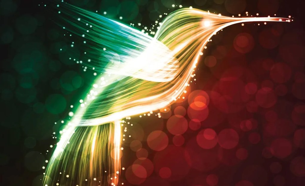 Fototapet - Colibri luminos (152,5x104 cm)