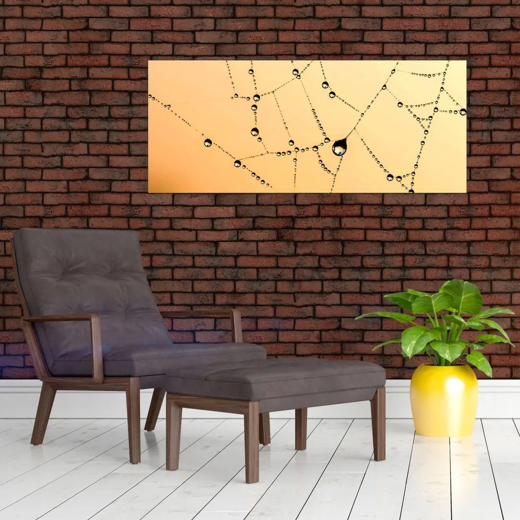 Tablou cu pânză de pâianjen cu rouă (120x50 cm)