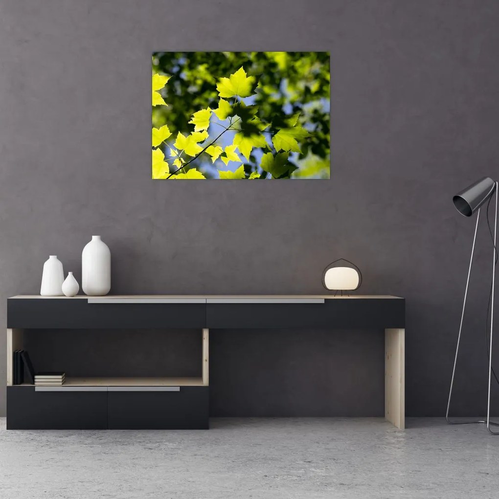 Tablou pe sticlă - frunze de arțar (70x50 cm)