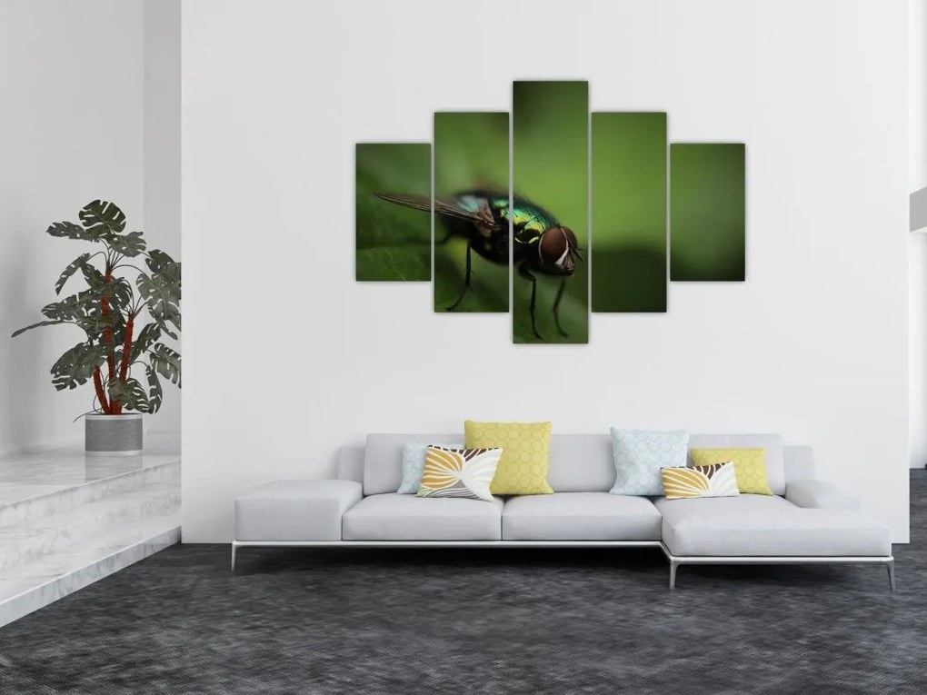 Tablou - Musca (150x105 cm)