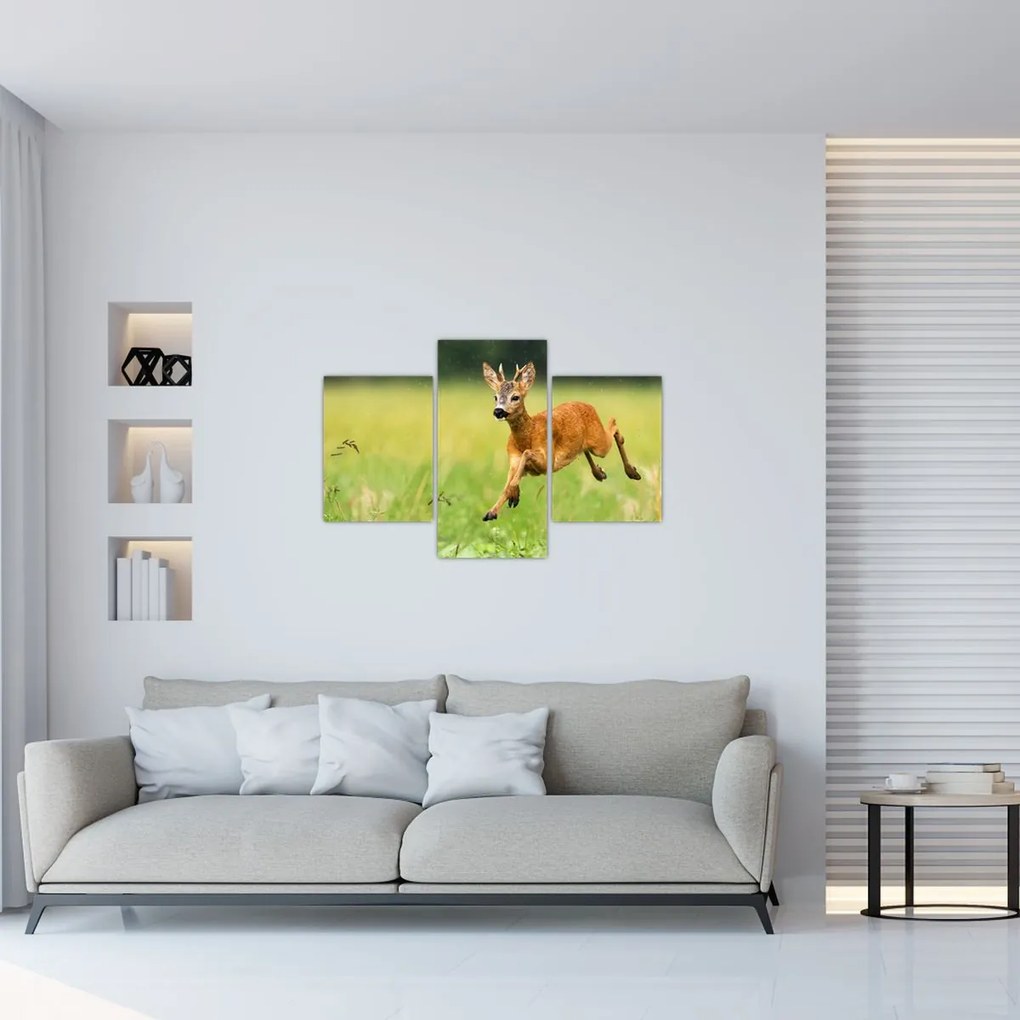 Tablou - Haită (90x60 cm)