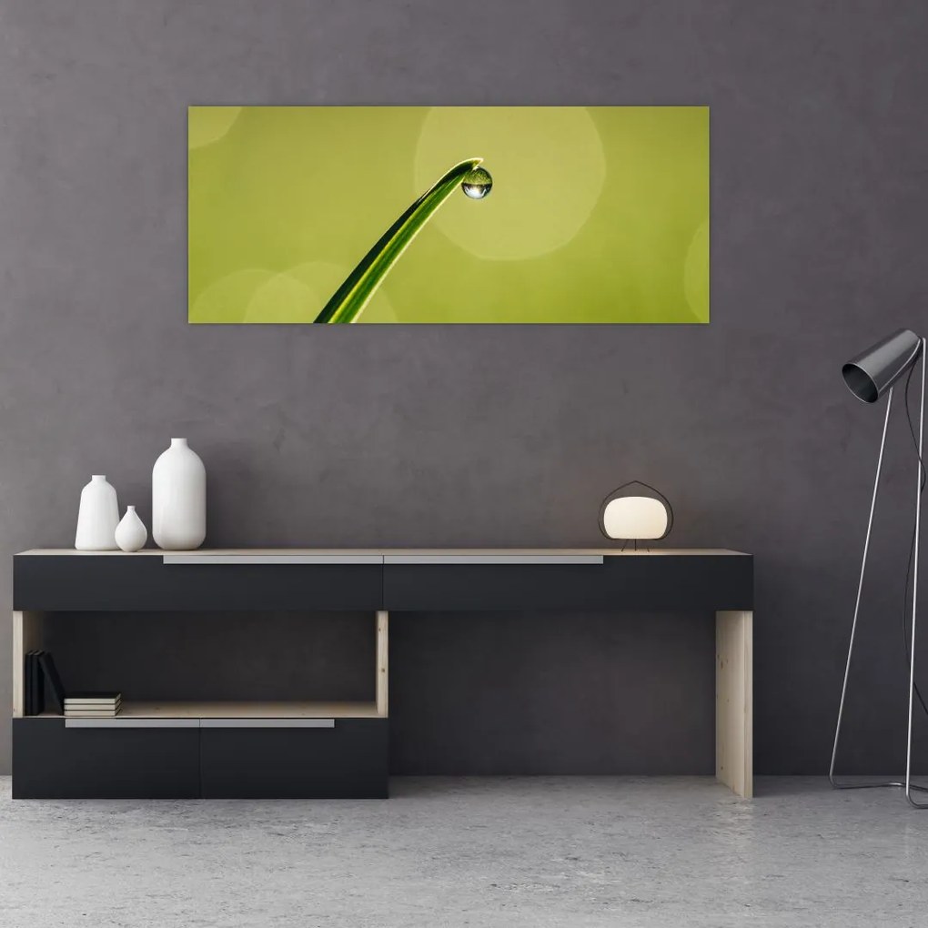 Tablou cu picătură de apă pe iarbă (120x50 cm)
