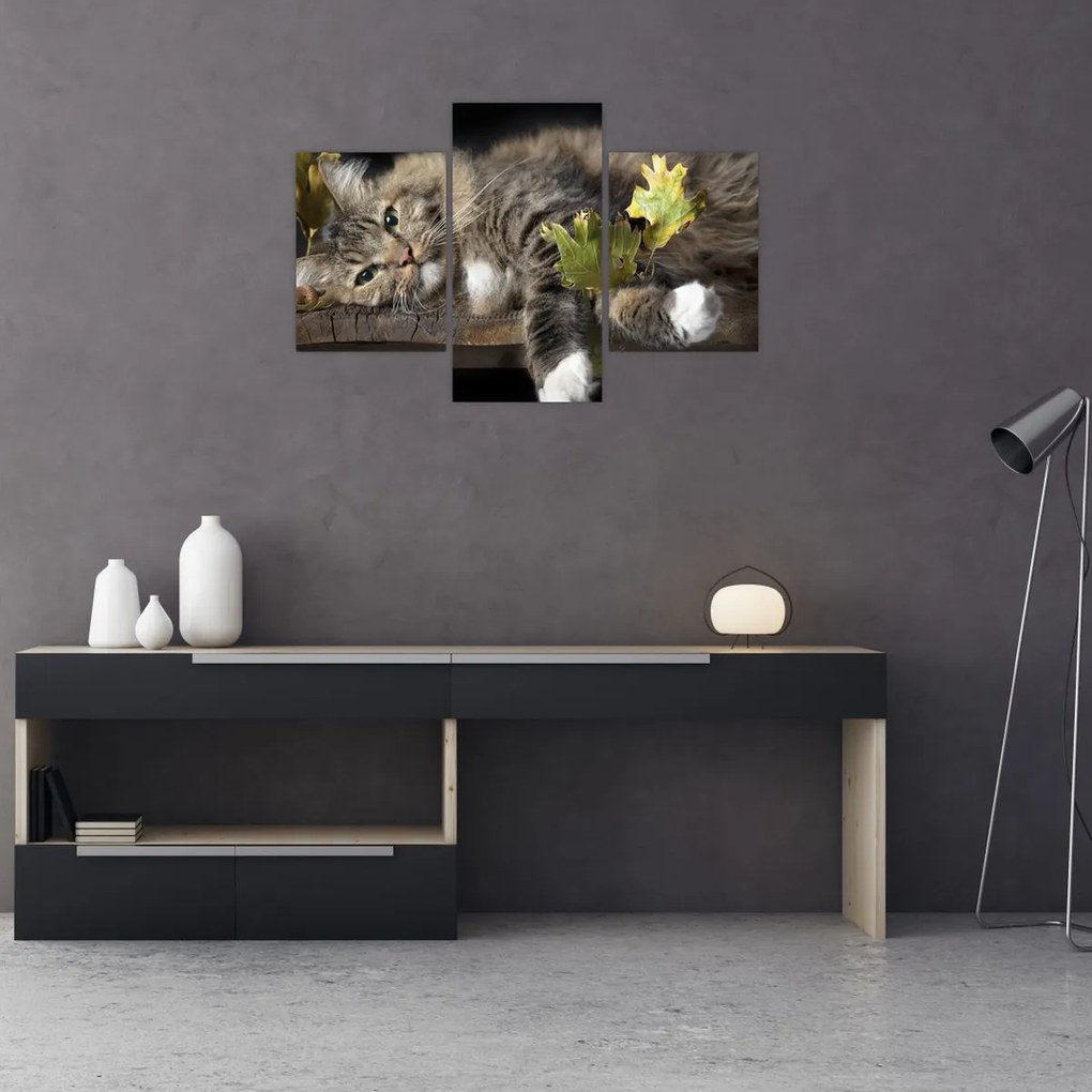 Tablou - Pisica mincinoasă (90x60 cm)