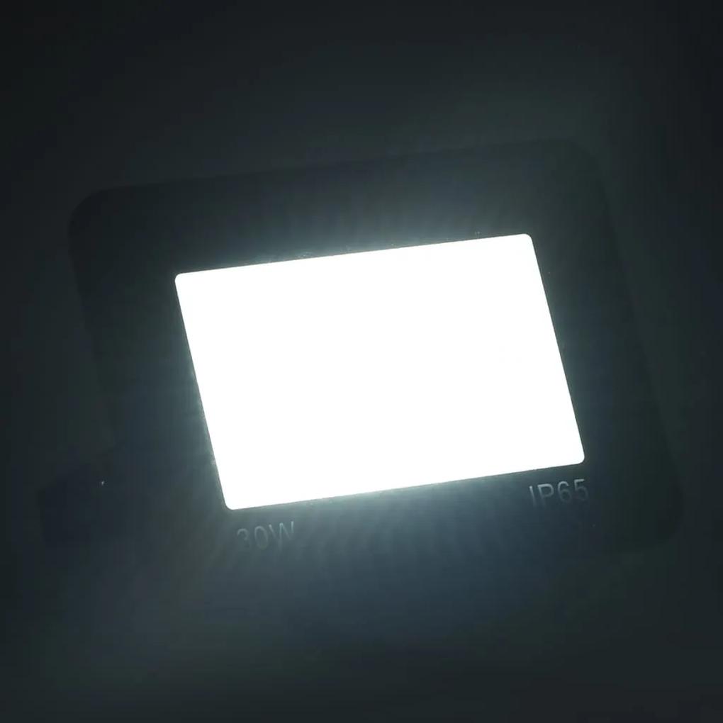 Proiectoare cu LED, 30 W, 2 buc., alb rece 2, Alb rece, 1, 30 w