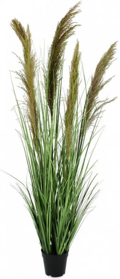 Planta artificiala decorativa cu ghiveci, 145 cm, Pampas Bizzotto