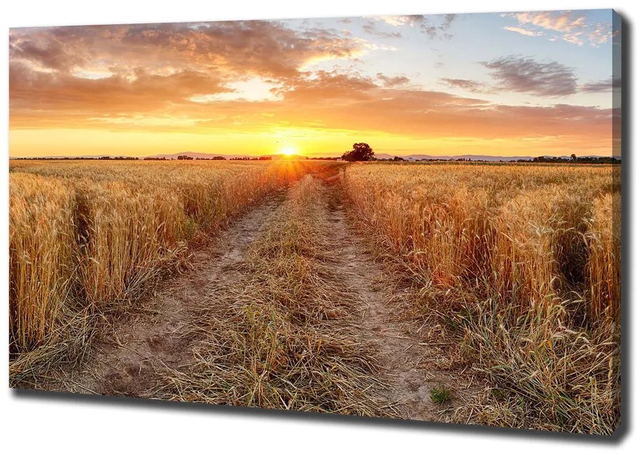 Print pe canvas Câmp de grâu