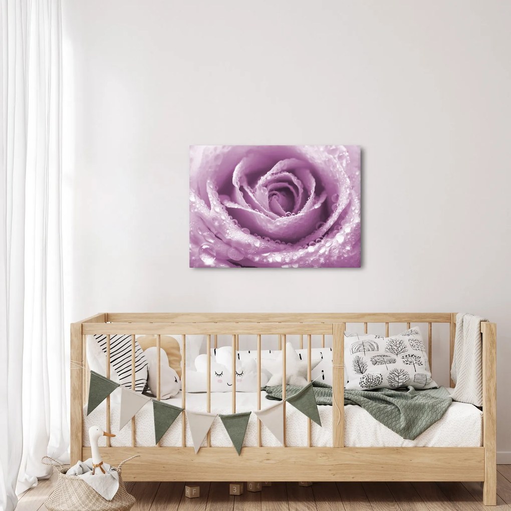 Tablou detaliu de floare de trandafir (70x50 cm)