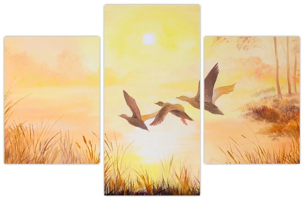 Tablou - Macarale la apus de soare (90x60 cm)