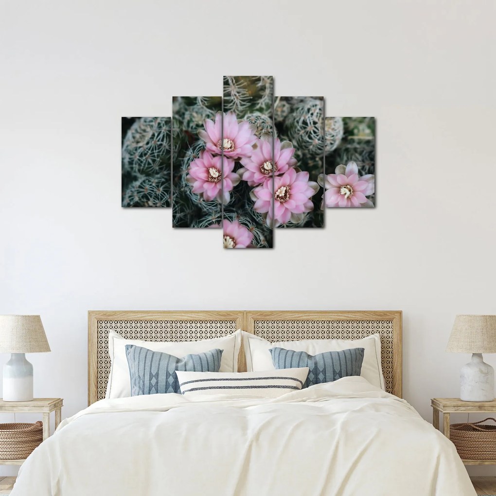 Tablou floare de cactus (150x105 cm)