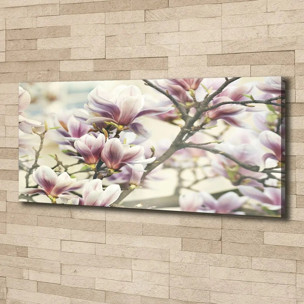 Tablou canvas Magnolie