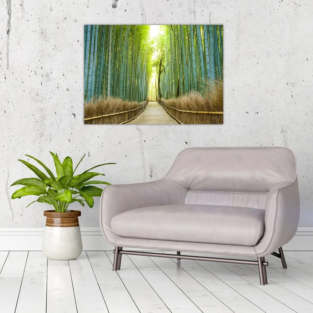 Tablou - Pădure de bambus (70x50 cm)
