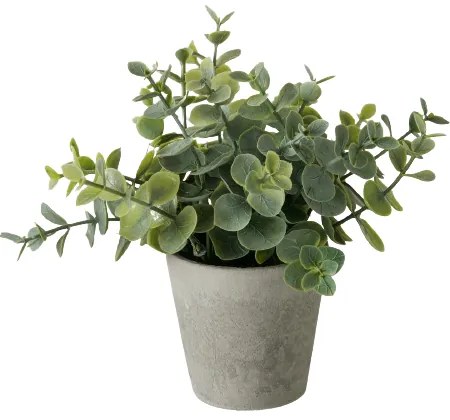 Eucalipt artificial in ghiveci Timothy 16/18 cm
