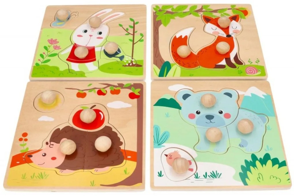Adam Toys Lemn amuzant introduceți puzzle 4 anual perioadă