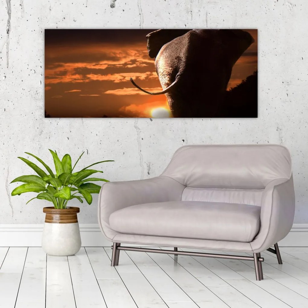 Tablou cu elefant (120x50 cm)