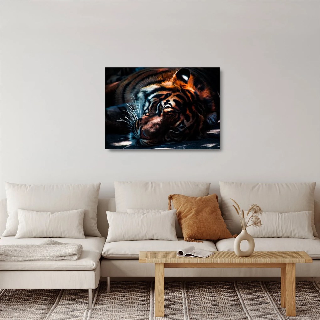 Tablou pe sticlă cu tigrul dormind (70x50 cm)