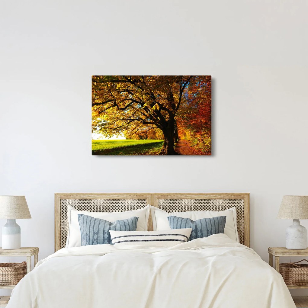 Tablou cu copac toamna (90x60 cm)